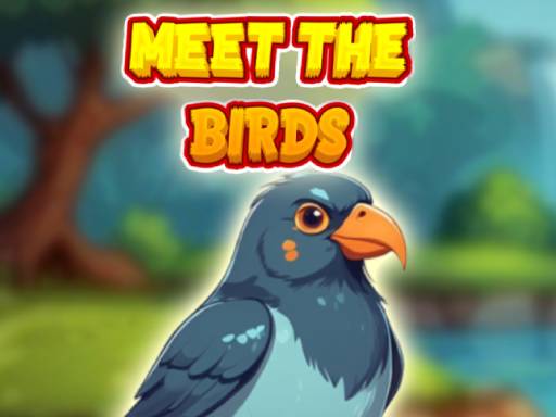 meet-the-birds